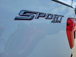 2023 Ford F-150 SuperCrew Cab 4WD Pickup for sale #PFD07507 - photo 11