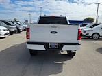 2023 Ford F-150 SuperCrew Cab 4WD Pickup for sale #PFD07507 - photo 6