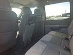 2023 Ford F-150 SuperCrew Cab 4x2 Pickup for sale #PKD76099 - photo 13