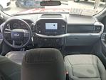 2023 Ford F-150 SuperCrew Cab 4x2 Pickup for sale #PKD76099 - photo 17