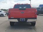 2023 Ford F-150 SuperCrew Cab 4x2 Pickup for sale #PKD76099 - photo 6