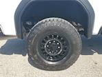 2024 GMC Sierra 2500 Crew Cab 4x2 Pickup for sale #RF457693 - photo 11