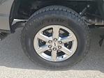 2024 Ford F-150 SuperCrew Cab 4x4 Pickup for sale #RFA25434 - photo 7