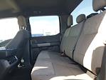 2024 Ford F-150 SuperCrew Cab 4x4 Pickup for sale #RFA27338 - photo 14