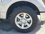 2024 Ford F-150 SuperCrew Cab 4x4 Pickup for sale #RFA27338 - photo 8