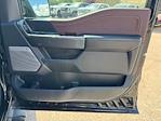 2023 Ford F-150 SuperCrew Cab 4x4 Pickup for sale #N02676D - photo 25