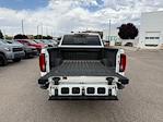 2020 GMC Sierra 3500 Crew Cab 4WD Pickup for sale #N03705C - photo 8