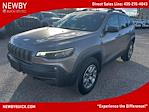 Used 2020 Jeep Cherokee Trailhawk for sale #N04098A - photo 1