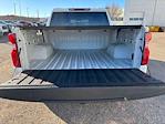 2023 Chevrolet Silverado 1500 Crew Cab 4WD Pickup for sale #N04269Q - photo 7