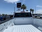 2025 GMC Sierra 3500 Regular Cab 4WD Pickup for sale #25G228 - photo 9