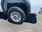 2025 GMC Sierra 3500 Regular Cab 4WD Pickup for sale #25G268 - photo 10