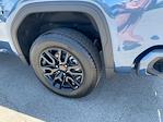 2025 GMC Sierra 1500 Crew Cab 4WD Pickup for sale #25G294 - photo 10