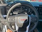 2025 GMC Sierra 1500 Crew Cab 4WD Pickup for sale #25G295 - photo 19