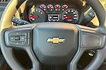 2025 Chevrolet Silverado 3500 Regular Cab 2WD, Pickup for sale #250310 - photo 19