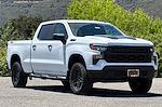 New 2025 Chevrolet Silverado 1500 Custom Crew Cab 4WD Pickup for sale #251010 - photo 1