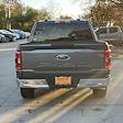 2023 Ford F-150 SuperCrew Cab 4x2 Pickup for sale #PPFA86042 - photo 5