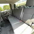 2024 Chevrolet Silverado 1500 Crew Cab 4x2 Pickup for sale #PRG429969 - photo 22