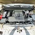 2024 Chevrolet Colorado Crew Cab 4x4 Pickup for sale #R1178390 - photo 24