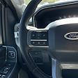 2024 Ford F-250 Crew Cab 4x4 Pickup for sale #RED31504 - photo 13