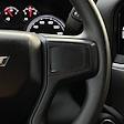 2024 Chevrolet Silverado 1500 Crew Cab 4x2 Pickup for sale #RZ100149 - photo 14