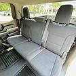 2024 Chevrolet Silverado 1500 Crew Cab 4x2 Pickup for sale #RZ125098 - photo 22