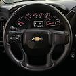 2025 Chevrolet Silverado 1500 Double Cab 4x2 Pickup for sale #SZ242248 - photo 12