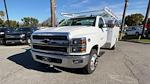 2023 Chevrolet Silverado 5500 Regular Cab DRW RWD, Royal Truck Body Service Body Service Truck for sale #231285TC - photo 1