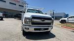 2023 Chevrolet Silverado 5500 Regular Cab DRW RWD, Royal Truck Body Service Body Service Truck for sale #231285TC - photo 33