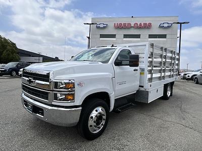 New 2023 Chevrolet Silverado 5500 Work Truck Regular Cab RWD Royal for sale #231336TC - photo 1