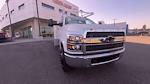 New 2023 Chevrolet Silverado 5500 Regular Cab Scelzi Contractor Truck for sale #231449C - photo 4