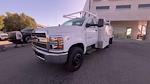 New 2023 Chevrolet Silverado 5500 Regular Cab Scelzi Contractor Truck for sale #231449C - photo 5