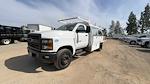 2023 Chevrolet Silverado 5500 Regular Cab DRW RWD, Harbor Standard Contractor Body Contractor Truck for sale #231462TC - photo 34