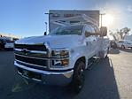 2024 Chevrolet Silverado 5500 Crew Cab DRW 2WD, Scelzi CTFB Contractor Truck for sale #241519C - photo 1