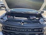 New 2025 Chevrolet Silverado 1500 Custom Crew Cab Pickup for sale #250794 - photo 29