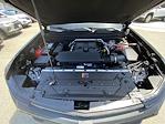 New 2025 Chevrolet Colorado Work Truck Crew Cab Pickup for sale #250912 - photo 64