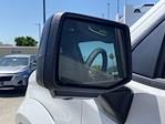 New 2025 Chevrolet Silverado 1500 RST Crew Cab 4WD Pickup for sale #250921 - photo 20