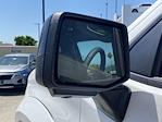 New 2025 Chevrolet Silverado 1500 RST Crew Cab 4x4 Pickup for sale #250921 - photo 20