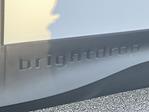 New 2025 Chevrolet BrightDrop 600 Step Van / Walk-in for sale #251194C - photo 28