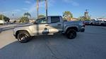 New 2026 Chevrolet Colorado Work Truck Crew Cab Pickup for sale #260272 - photo 6