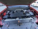2026 Chevrolet Colorado Crew Cab RWD Pickup for sale #260299 - photo 29