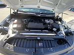 2024 Chevrolet Silverado 1500 Regular Cab RWD Pickup for sale #7432C - photo 25