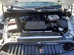 2024 Chevrolet Silverado 1500 Regular Cab RWD Pickup for sale #7433C - photo 25