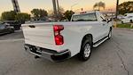 2024 Chevrolet Silverado 1500 Regular Cab RWD Pickup for sale #7444C - photo 8