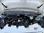2024 Ford Transit 250 Low Roof RWD Empty Cargo Van for sale #7616C - photo 26