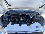 2024 Ford Transit 250 Low Roof RWD Empty Cargo Van for sale #7709C - photo 26
