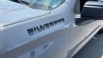 2024 Chevrolet Silverado 1500 Crew Cab RWD Pickup for sale #42556A - photo 10