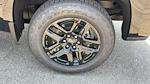 2025 Chevrolet Silverado 1500 Crew Cab RWD Pickup for sale #42913 - photo 29