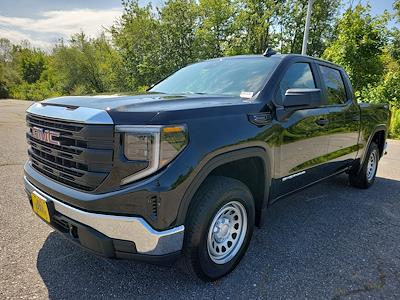 New 2026 GMC Sierra 1500 Pro Crew Cab 4WD Pickup for sale #5GM15149 - photo 1