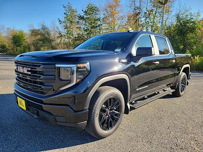 New 2026 GMC Sierra 1500 Pro Crew Cab 4WD Pickup for sale #5GM15177 - photo 1