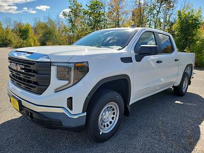 New 2026 GMC Sierra 1500 Pro Crew Cab 4WD Pickup for sale #5GM15179 - photo 1
